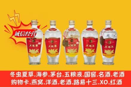 焦作市孟州回收老五粮液