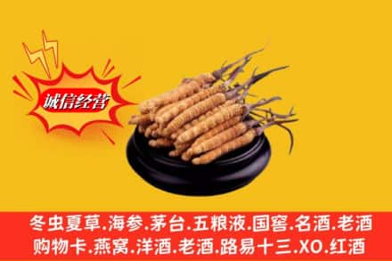 焦作市孟州求购回收虫草多少钱每克